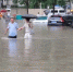 暖！暴雨突至积水过膝，有个身影在接送市民安全过马路 - 河南一百度