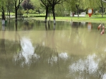 记者目击：一场大雨，让高新区莲花公园变成大湖 - 河南一百度
