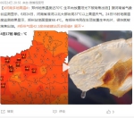 “重庆退出四大火炉”上热搜 网友：是被郑州挤出去了? - 河南一百度