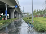 帮办有果：郑州绿化带内“井喷”堵点找到，目前路面积水已被抽完 - 河南一百度