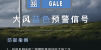 阵风7级左右！郑州发布大风蓝色预警信号 - 河南一百度