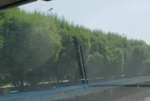 郑州绕城高速中分带绿植被移除，更换成硬隔离？ - 河南一百度
