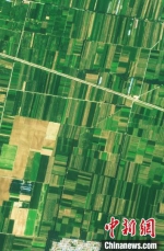 “河南一号”遥感卫星拍摄的河南尉氏县高标准农田影像。　河南省自然资源厅供图 - 中国新闻社河南分社