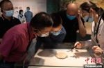 　图为参观者近距离观看甲骨上的文字。程航 摄 - 中国新闻社河南分社