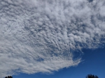 蓝天白云层次分明，今天郑州的天空美得像画儿一样 - 河南一百度
