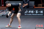 　图为训练中的国乒队员马龙。　WTT世界乒联 供图 - 中国新闻社河南分社