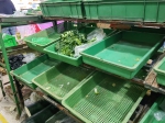 郑州流动性管理倒计时的夜晚，居民区蔬菜超市内蔬菜肉类被采购一空 - 河南一百度