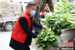 河南周口，志愿者在装运蔬菜。　付永奇 摄 - 中国新闻社河南分社
