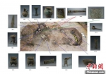 图为考古发现的出土器物。(资料图) 郑州市文物考古研究院供图 - 中国新闻社河南分社
