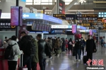 郑州机场航站楼出发大厅旅客明显增加。　戚利兵 摄 - 中国新闻社河南分社