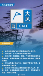 阵风7级左右！郑州发布大风蓝色预警 - 河南一百度