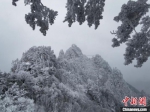 　图为老界岭雾凇景观。　张宁波 摄 - 中国新闻社河南分社