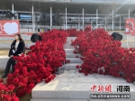 郑州街头设置巨型玫瑰花瀑布迎接情人节。 范晓恒 摄 - 中国新闻社河南分社
