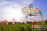 图为风筝节展出的各式风筝。赵铁聚 摄 - 中国新闻社河南分社