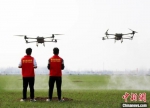 图为工作人员操作无人机。　厉佳 摄 - 中国新闻社河南分社