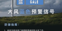 阵风7级！大风蓝色预警！有多少郑州人今天被大风吹懵了 - 河南一百度