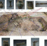 图为郑州商城遗址部分出土器物分布图。　郑州市文物考古研究院供图 - 中国新闻社河南分社