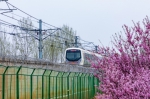 地铁邂逅美丽的花海，一路繁花，恰似在春天的画卷中穿行 刘彦峰摄 - 中国新闻社河南分社