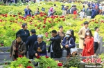 　游客在王城公园畅游牡丹花海。　李书宝 摄 - 中国新闻社河南分社