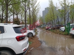 郑州一处生态文化公园成停车场，60多辆车直接停在绿化带上 - 河南一百度