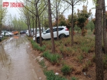 郑州一处生态文化公园成停车场，60多辆车直接停在绿化带上 - 河南一百度