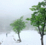 太行大峡谷再次降下春雪。　秦加福 摄 - 中国新闻社河南分社
