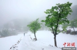 太行大峡谷再次降下春雪。　秦加福 摄 - 中国新闻社河南分社