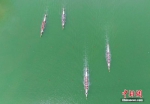 图为比赛现场。 焦海洋 摄 - 中国新闻社河南分社