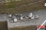 考古发现隋唐时期的遗骸。王宇 摄 - 中国新闻社河南分社