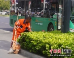 图为环卫工人在街头劳作。记者 刘鹏 摄 - 中国新闻社河南分社