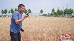 农民用对讲机与收割机手沟通。　邹雄 摄 - 中国新闻社河南分社