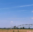 图为兰考县惠安街道高标准农田示范区里的大型自走式平移喷灌机。刘鹏 摄 - 中国新闻社河南分社