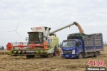 　图为周口市黄泛区农场在抢收小麦。　王宇 摄 - 中国新闻社河南分社