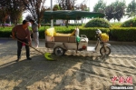 　图为村民将晾晒好的特色小麦装车。　经晓佳 摄 - 中国新闻社河南分社