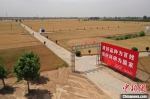图为位于河南新乡的国家现代农业科技示范基地。　李超庆 摄 - 中国新闻社河南分社