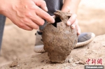 　图为发掘现场出土的陶器。　邢栋 摄 - 中国新闻社河南分社