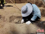 考古工作人员在清理发掘墓葬。　邢栋 摄 - 中国新闻社河南分社