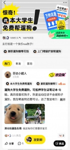 代遛狗业务火爆：郑州6个人排队等遛一条狗 - 河南一百度