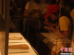 　海外华裔青少年在河南博物院认真记录馆藏甲骨。　阚力 摄 - 中国新闻社河南分社