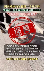 郑州警方通报“天价寻狗启事”调查结果：系有人杜撰，已行拘 - 河南一百度