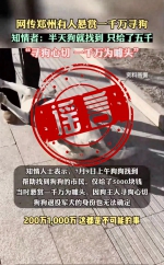 郑州警方通报“网传悬赏1000万寻狗”：系不实信息 - 河南一百度