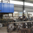 图为工人把卷尺原材料装机生产。　王宇 摄 - 中国新闻社河南分社