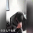 教师疑性侵9岁女生遭家长暴打 - 新浪河南