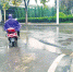 雨一直下，路面被“砸”出一大坑 - 新浪河南