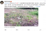 不是雨！河南多地下“冰雹” 你那里下了吗？ - 河南一百度