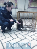 郑州多面城管：养犬施工装门头 “十八般武艺”都得知晓 - 河南一百度