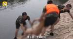 洛阳裸男河中漂浮1小时 被救后称要喝“仙水” - 河南一百度