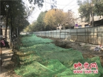 郑州今年两条道路大修 顺河路已撤围挡 商城路下月贯通 - 河南一百度