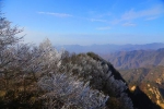 冷空气袭来 河南现“玉树琼枝”雾凇奇观 - 河南一百度