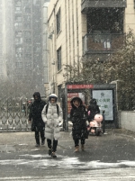 鹅毛大雪！郑州今年第二场雪来了！ - 河南一百度